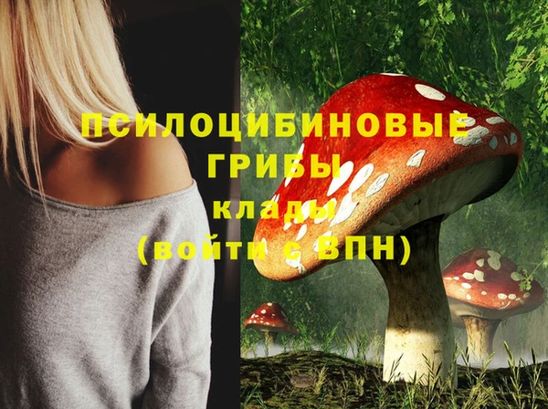наркотики Беломорск