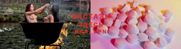 спиды Ельня