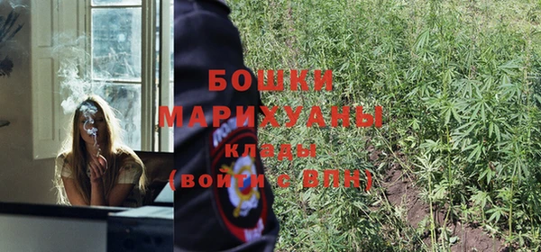 крисы Белокуриха